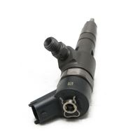 0 445 110 801 0445110801 Inyector de Combustible Common Rail de Alto Rendimiento, Calidad Estable Probada