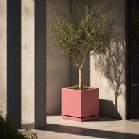 Jardinière en acier thermolaqué sur mesure, résistante à la rouille, pour projets de jardins urbains et aménagements paysagers