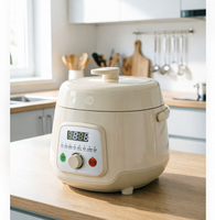 Cuisinière à riz électrique multifonctionnelle mini 2,5 L 600 W pour la vente en gros PC50-E