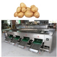 Machine de tri professionnelle pour fruits et agrumes, machine de classement des citrons