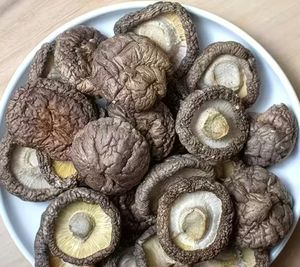 Meilleur prix pour les champignons shiitake séchés - Champignons shiitake séchés de haute qualité, parfaits pour les <span class=keywords><strong>plats</strong></span> et les <span class=keywords><strong>recettes</strong></span> aux champignons forestiers. - Product Image 5