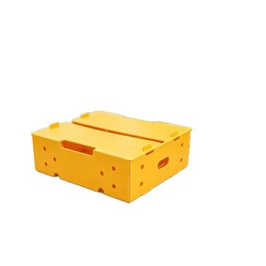 Boîte à fruits et légumes en PP de qualité alimentaire, imperméable, résistante à l'humidité, réutilisable, pour la chaîne du froid, conteneur en plastique - Product Image 2