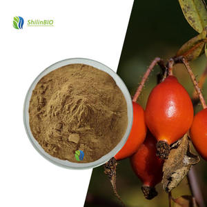 SLBIO fournit <span class=keywords><strong>de</strong></span> l'extrait naturel <span class=keywords><strong>de</strong></span> cynorrhodon, poudre <span class=keywords><strong>de</strong></span> cynorrhodon, 17% 25% <span class=keywords><strong>de</strong></span> vitamine C - Product Image 1