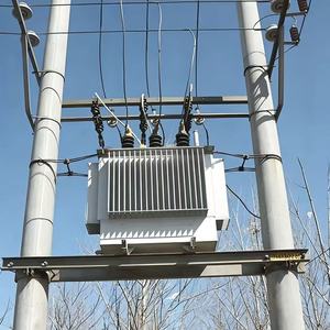 Transformador Sumergido en Aceite <span class=keywords><strong>de</strong></span> 200kVA 315kVA 500kVA 1000kVA 2500kVA Directo <span class=keywords><strong>de</strong></span> Fábrica, Media <span class=keywords><strong>y</strong></span> Alta Tensión HV 11kV 22kV 33kV LV 380V 400V - Product Image 6