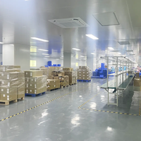 Encendedor Recargable 2026 para Almacén en la UE, Venta al por Mayor de Fábrica, Envío Rápido de Accesorios para Fumar, Entrega en 3-5 Días