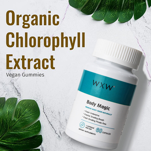 Stock WXW Complexe de Chlorophylline Cuivre Biologique Supplément Capsule Dure Soutien Immunitaire pour Adultes Pas pour Enfants Femmes Enceintes - Product Image 2