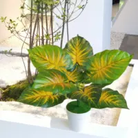 Çin tedarikçileri toptan plastik yapay saksı sahte bitkiler dekorasyon ev için oturma