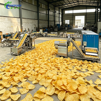 Shepody industriële productielijn voor frieten, aardappelverwerkingsmachine, CE-gecertificeerd voor commerciële diepvriesvoedselverwerkingsfabriek