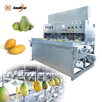 Automatische elektrische mango-, avocado-, citroen-, sinaasappel-, appel- en peer-schilmachine