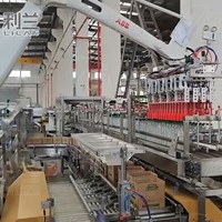 Machine d'emballage robotisée automatique intelligente pour cartons de boissons, bouteilles, canettes, sacs, barils – Robot de préhension pour l'emballage en caisses