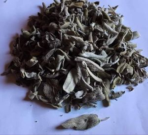 Salvia de alta calidad directamente de la fábrica Egipto Entrega rápida Procesamiento crudo seco popular Supervisión estricta Especias individuales Hierbas - Product Image 2