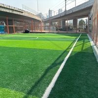 Césped Deportivo Premium APEX al por Mayor, Compatible con OEM, Múltiples Opciones de Color, Césped Artificial para Canchas de Tenis, Uso Interior y Exterior