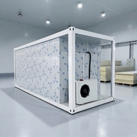 Conteneur frigorifique 20 pieds 40 pieds, conteneur réfrigéré, entrepôt frigorifique offshore, congélateur extérieur, chambre froide modulaire