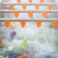 Commerciële groente- en fruitwasmachine met ozon-luchtbeltechnologie voor maïs, noten en groenten, SUS 304 motor/pomp, 1500-3000kg/u