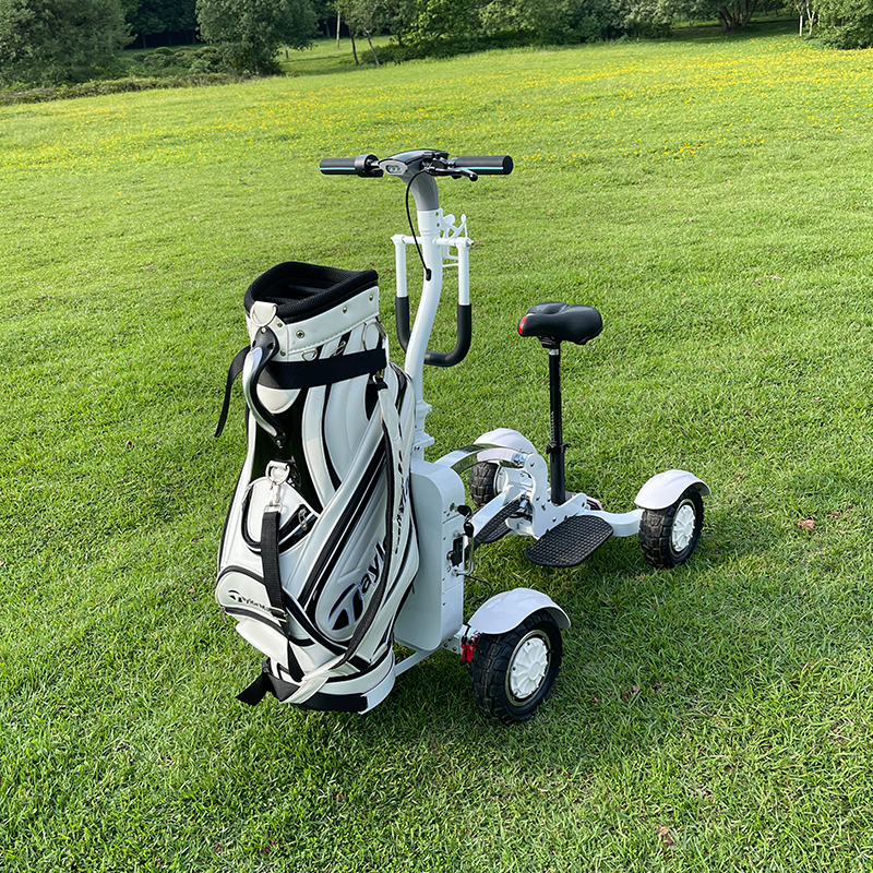 Шина 10 Дюймов 48 В четыре колеса мощный 2400 Вт Электрический гольф-скутер литиевая батарея электрическая Гольф-кар