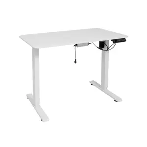 Double Motor Two-section Height Adjustable Table Desk White Version