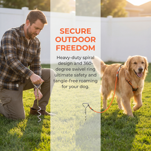 Estaca de Acero Inoxidable para Correa de Perro para Uso en Exteriores y Correa para Perro con Gancho Doble de PVC Impermeable - Product Image 6
