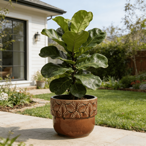 Pot de fleurs décoratif large en céramique émaillée marron beige à motif elliptique, style américain, écologique et durable, avec trou de drainage - Product Image 3
