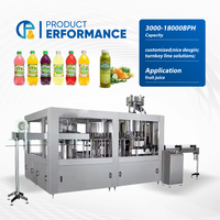 Complete volautomatische lijn voor de verwerking van vers fruit sap / drankenproductielijn / sapvulfmachine