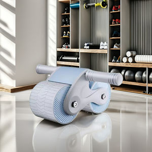 Logo kustom kebugaran Gym olahraga seluruh tubuh latihan Rebound otomatis <span class=keywords><strong>Abs</strong></span> roda rol - Product Image 1