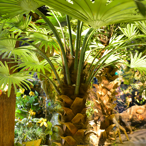 Sống động như thật sợi thủy tinh nhân tạo cây cọ ngoài trời chống nước lớn trong nhà khách sạn trang trí sân vườn - Product Image 4