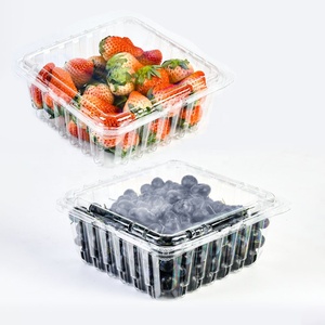 Envase Desechable de PET Transparente <span class=keywords><strong>para</strong></span> Fruta Fresca, <span class=keywords><strong>Frambuesas</strong></span>, Arándanos, Caja de Plástico Tipo Concha <span class=keywords><strong>para</strong></span> Fresas - Product Image 5