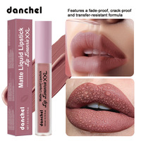 Gloss à lèvres liquide mat Danchel effet velours brumeux multi-couleurs longue tenue 3,9 ml – Vente en gros disponible