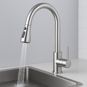 Vòi rửa chén nhà bếp hiện đại bằng thép không gỉ 304, kiểu dáng linh hoạt, có vòi phun kéo xuống, đạt chứng nhận CE ROHS - Product Image 1