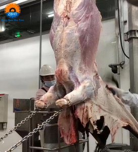 Équipement d'abattage de bétail <span class=keywords><strong>halal</strong></span> de qualité industrielle ZBHT, personnalisable, avec garantie d'un an pour l'utilisation par les boucherons dans l'abattoir - Product Image 1