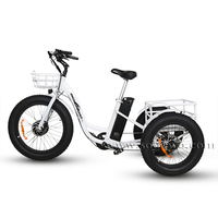 La nouvelle annonce gros pneu Tricycle électrique 500w 3 roues vélo cargo électrique 48v gros pneu longue queue Cargo vélo électrique 26"