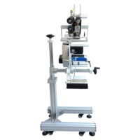 SHENGLONG – machine d'étiquetage de surface plate automatique SL-150, pour boîte de sacs en plastique, visage plat avec numéro de lot, imprimante de codes-barres