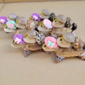 Doppio strato piccolo nero tartaruga artigianale conchiglia madre bambino tartaruga conchiglia conchiglia per decorazioni natalizie piccola bancarella del mercato notturno - Product Image 4