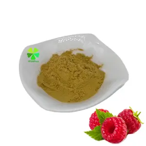 Extrato de raspberry de alta qualidade, 10:1 fructus rubi em pó de extrato