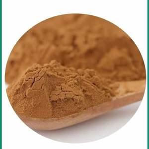 Polvo de Polisacáridos de <span class=keywords><strong>Boletus</strong></span> Edulis de Alta Calidad, Extracto de <span class=keywords><strong>Boletus</strong></span> Edulis, Polvo de Hongo Porcini - Product Image 2