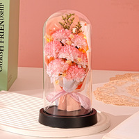 Bouquet de fleurs préservées sous cloche en verre, rose, œillet et gypsophile, en forme de dôme, pour la Saint-Valentin et la fête des enseignants
