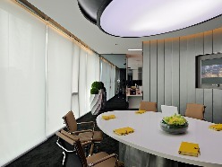 POYAL 25mm Tuya Smart Electric Wifi Control Tubular Motor ciego con cadena para persianas eléctricas - Product Image 5