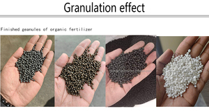 Granulateur d'<span class=keywords><strong>engrais</strong></span> organique à boule ronde d'usine Machine <span class=keywords><strong>de</strong></span> granulation d'<span class=keywords><strong>engrais</strong></span> <span class=keywords><strong>de</strong></span> type humide - Product Image 5