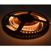 Bande LED flexible double blanc SMD 2216, blanc réglable 2700K-6500K, 240 LED/m, pour projets d'éclairage modernes