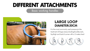 Non Invasive Veterinary Magnetic Therapy Machine Pemf Technology for Animal Inflammation Reduction - Product Image 4