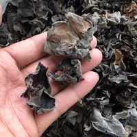 Champignons noirs de qualité supérieure, en vrac, grade A, séchés, naturels et sains, provenant de Chine