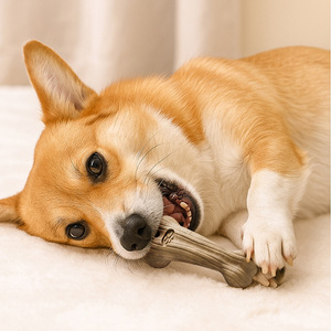 Bâton à mâcher pour chien en bois de pin naturel 75g, jouet durable pour la dentition et le toilettage des animaux - Product Image 1