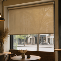 Stores à enroulement scandinaves en tissu personnalisé avec chaîne à perles manuelle, filtrant la lumière, installation facile pour appartements et fenêtres de location