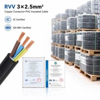 Feuchtigkeitsbeständiges RVV 3*2,5mm² Kabel für Tauchpumpen und Teichbeleuchtungsanschlüsse