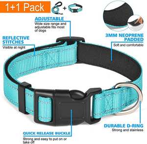 उच्च चिंतनशील नायलॉन वेबबिंग पालतू कुत्ते कॉलर पट्टा सेट कस्टम समायोज्य प्रशिक्षण ओएम डिजाइन लक्जरी शैली मुक्त नमूना कम मौक - Product Image 4