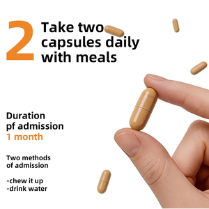 Cápsulas de Ginkgo Biloba con <span class=keywords><strong>Complejo</strong></span> de Vitamina <span class=keywords><strong>B</strong></span> 120 mg por Porción - 60 Cápsulas Suplemento para la Salud del Cerebro y el Corazón OEM Marca Privada - Product Image 5