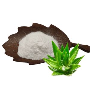 ผงว่านหางจระเข้อินทรีย์ แช่แข็งแห้งว่านหางจระเข้ที่ใช้งานอยู่ ผงสกัดว่านหางจระเข้ - Product Image 3