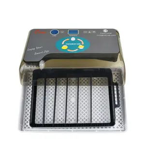 HHD 12 Small Egg Incubators Hatching Eggs Pakistan Price Hygrometer for Incubator in Kerala