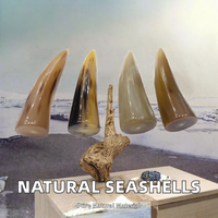 Ornement artisanal en corne de buffle naturelle polie, idéal pour la décoration nautique, la maison ou comme cadeau de mariage – BY HF CRAFTS