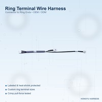 Câble de raccordement avec terminal annulaire Maden et gaine thermorétractable étiquetée, modèle TSW2201072