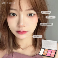 Palette de fard à joues de marque privée, fini mat naturel, poudre de contour pour tous types de peau, utilisation en salon